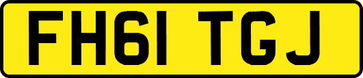 FH61TGJ