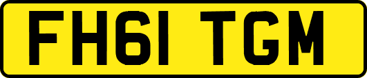 FH61TGM