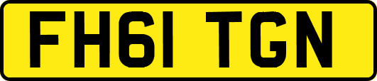 FH61TGN