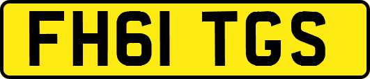 FH61TGS