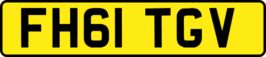 FH61TGV