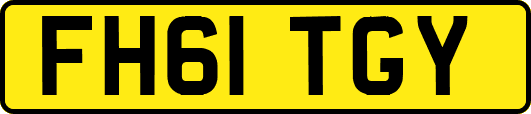 FH61TGY