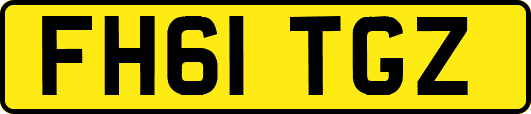 FH61TGZ