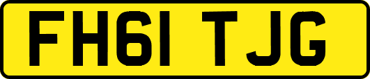 FH61TJG