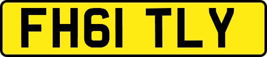 FH61TLY