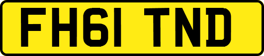 FH61TND