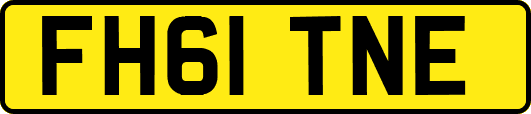 FH61TNE