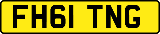 FH61TNG