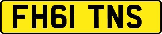 FH61TNS