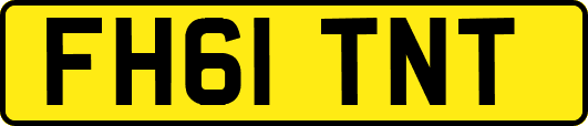 FH61TNT