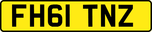 FH61TNZ