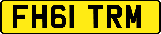 FH61TRM
