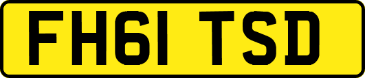 FH61TSD