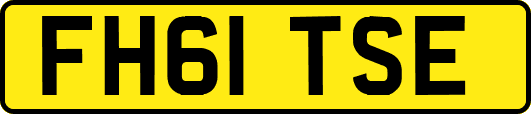 FH61TSE
