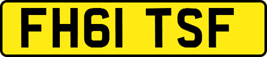 FH61TSF