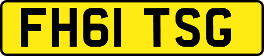 FH61TSG