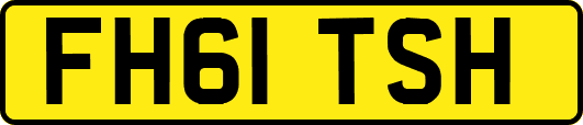 FH61TSH
