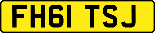 FH61TSJ