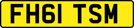 FH61TSM