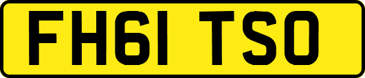 FH61TSO
