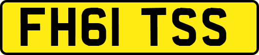 FH61TSS