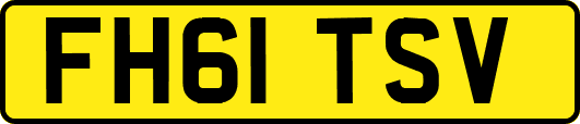 FH61TSV