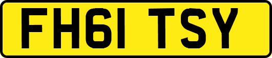 FH61TSY