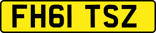 FH61TSZ
