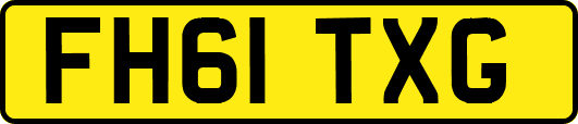 FH61TXG