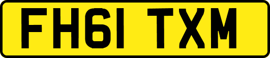 FH61TXM
