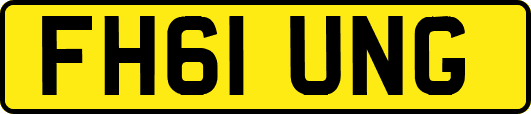 FH61UNG