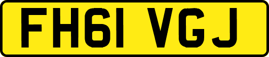 FH61VGJ