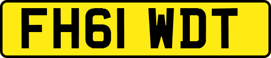 FH61WDT
