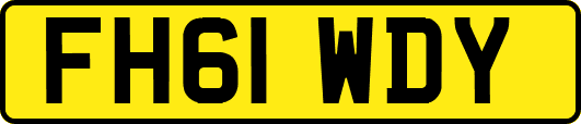 FH61WDY