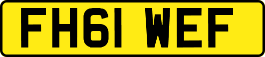 FH61WEF