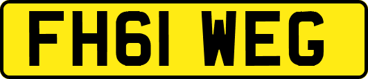 FH61WEG