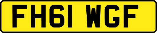 FH61WGF