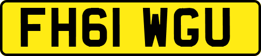 FH61WGU