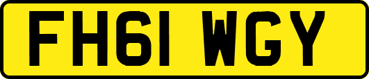 FH61WGY
