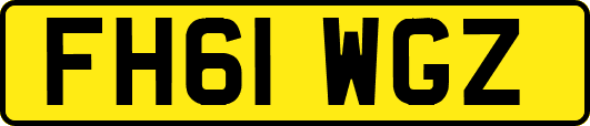 FH61WGZ