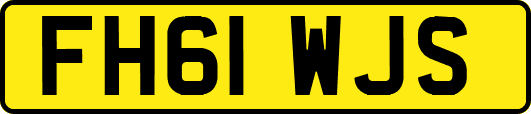 FH61WJS