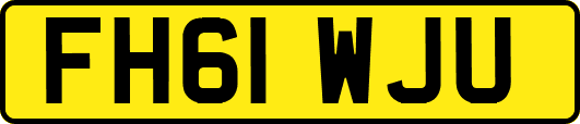 FH61WJU