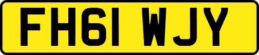 FH61WJY