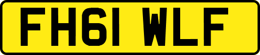 FH61WLF