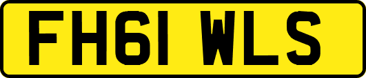 FH61WLS