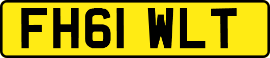 FH61WLT
