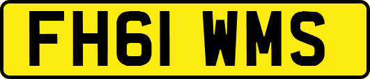 FH61WMS