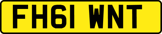 FH61WNT