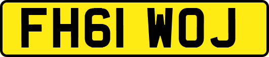 FH61WOJ