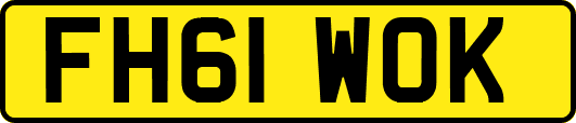 FH61WOK